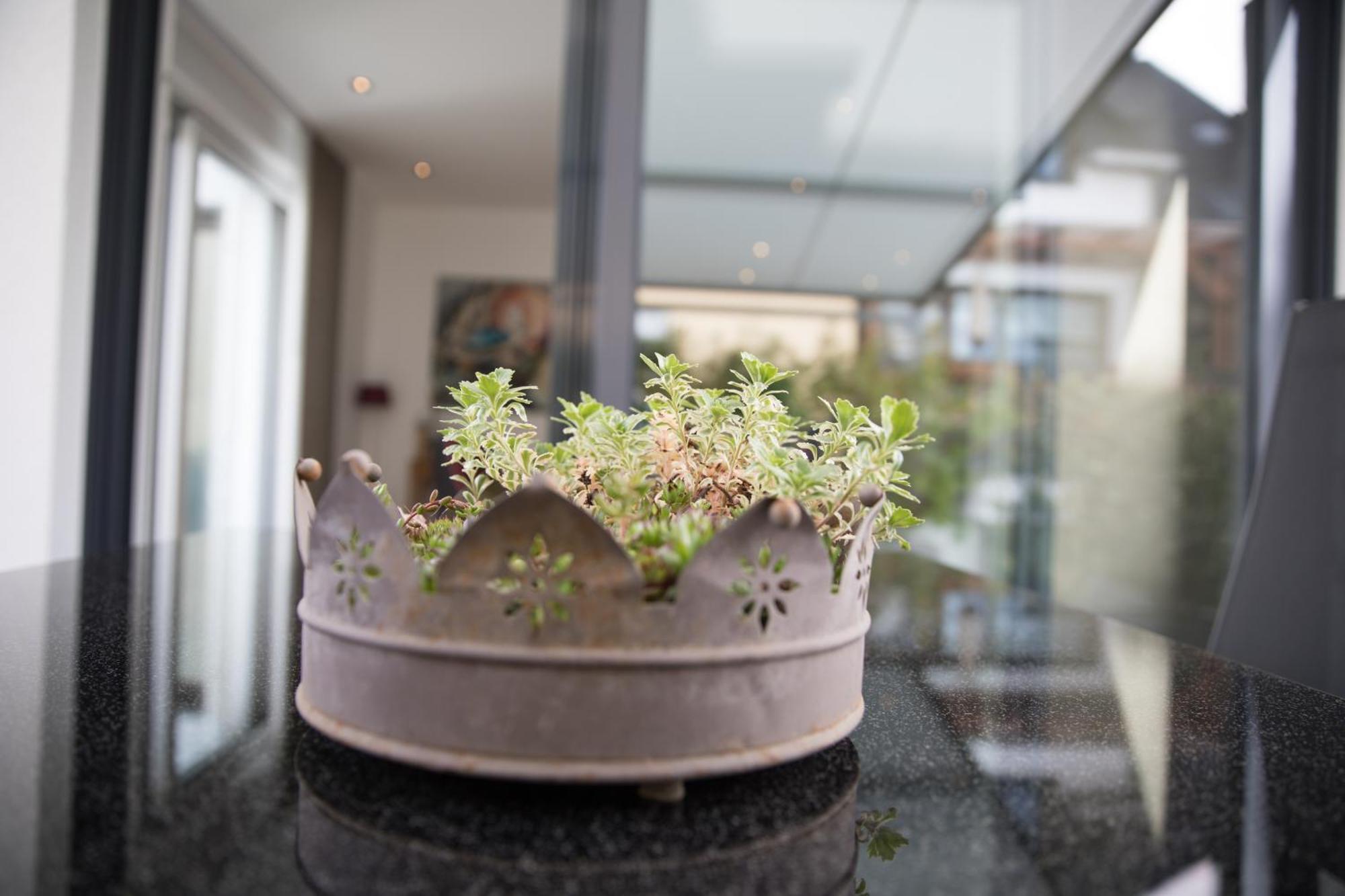 Neu - Moselauszeit Traben Apartment Bagian luar foto